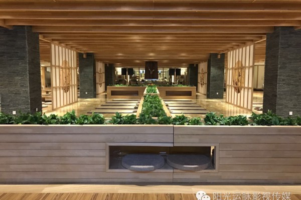 寺庙古韵茶香，成都养生休闲好去处(成都寺庙里的茶馆)