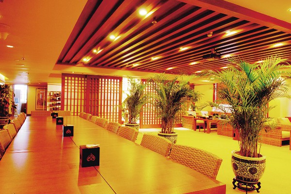 成都论坛精选：养生休闲活动大盘点(成都养生项目)